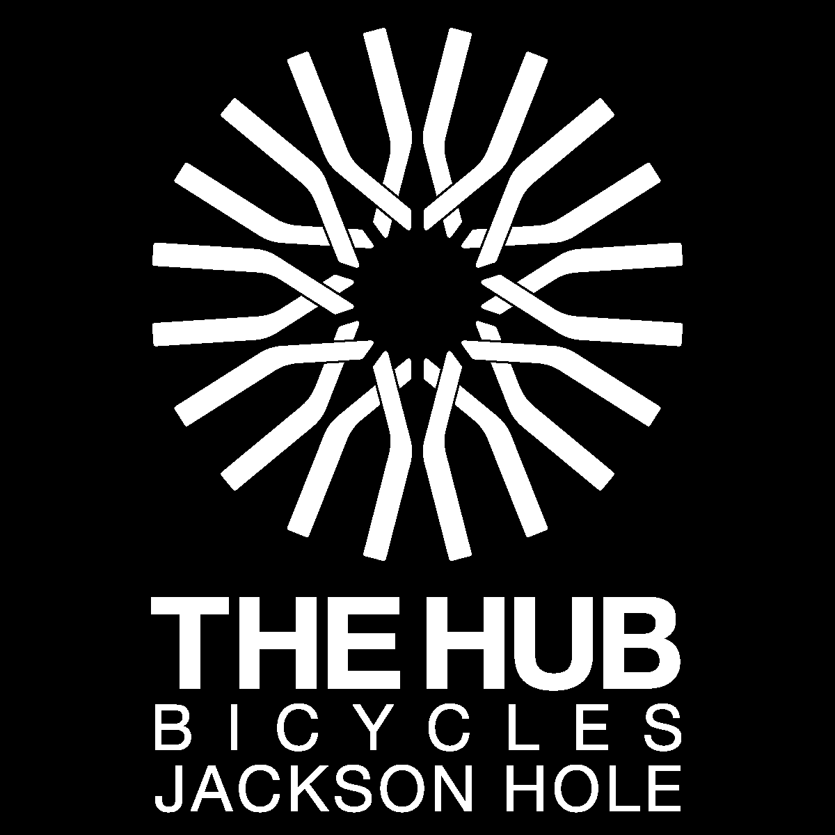 the hub bicycles Jackson hole